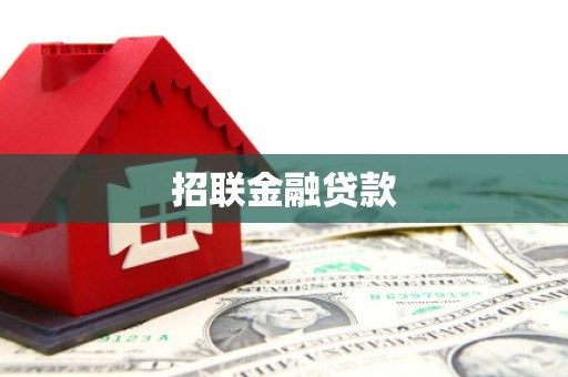 贵定招联金融贷款