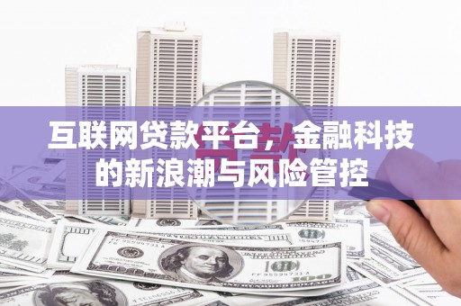 贵定互联网贷款平台，金融科技的新浪潮与风险管控