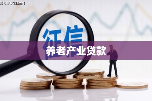 贵定养老产业贷款