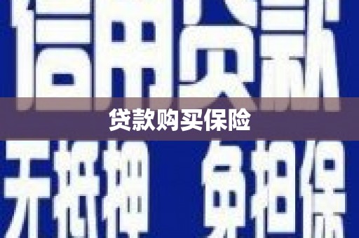 贵定贷款购买保险