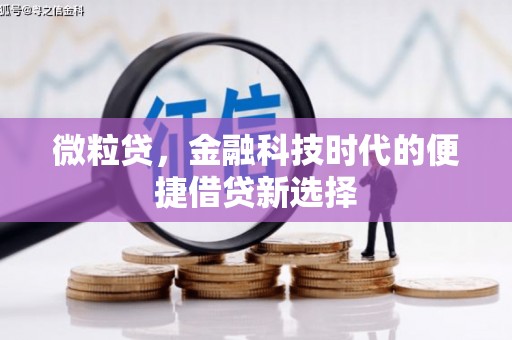贵定微粒贷，金融科技时代的便捷借贷新选择