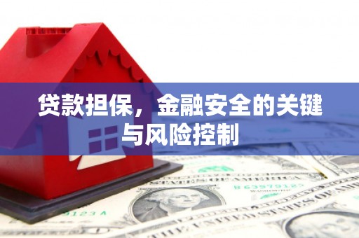 贵定贷款担保，金融安全的关键与风险控制