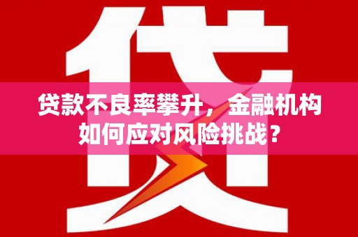 贵定贷款不良率攀升，金融机构如何应对风险挑战？