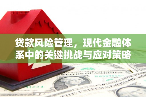 贵定贷款风险管理，现代金融体系中的关键挑战与应对策略