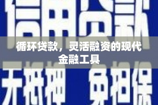 贵定循环贷款，灵活融资的现代金融工具