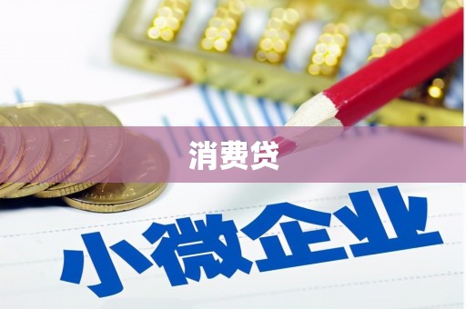 贵定消费贷