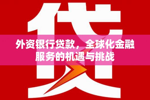 贵定外资银行贷款，全球化金融服务的机遇与挑战