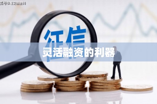 贵定灵活融资的利器