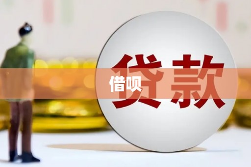贵定借呗