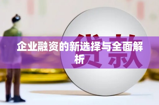 贵定企业融资的新选择与全面解析