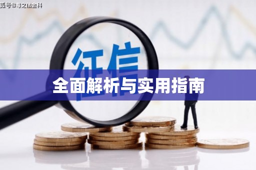 贵定全面解析与实用指南