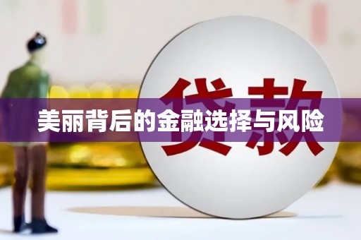 贵定美丽背后的金融选择与风险