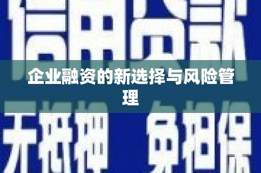 贵定企业融资的新选择与风险管理