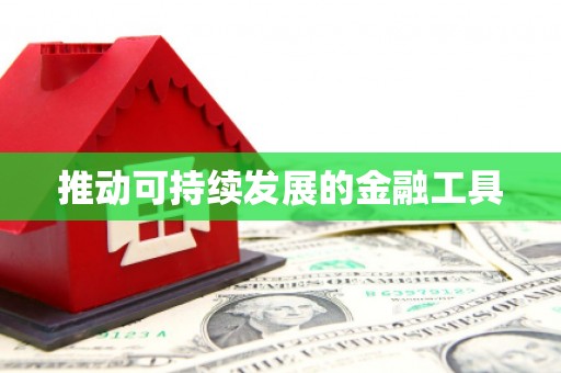 贵定推动可持续发展的金融工具
