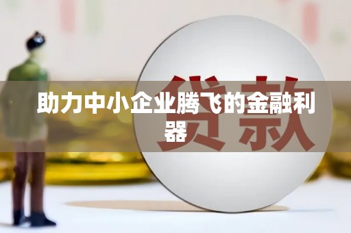 贵定助力中小企业腾飞的金融利器