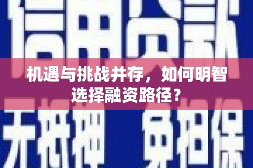 贵定机遇与挑战并存，如何明智选择融资路径？
