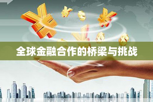 贵定全球金融合作的桥梁与挑战